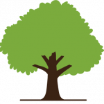 Northwoods Medicare & Health Solutions